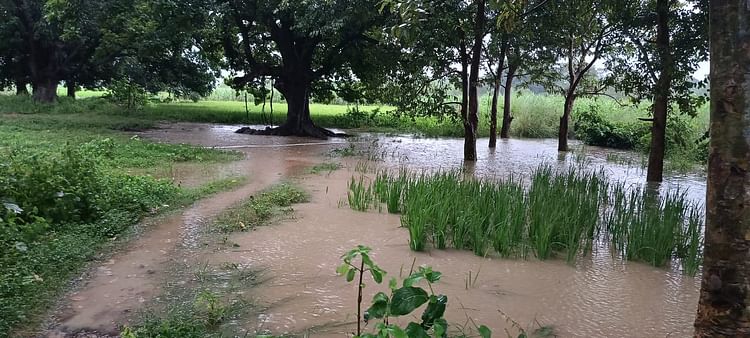 Read more about the article Heavy rain in Ayodhya, crops destroyed. – Amar Ujala Hindi News Live