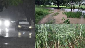 Read more about the article UP: Due to monsoon taking a U-turn, heavy rains in many districts, life disrupted, standing paddy crop fell.