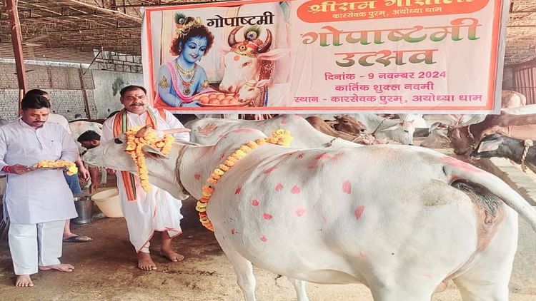 You are currently viewing Gopasthami was celebrated with great pomp in temples and cow shelters in Ayodhya – Amar Ujala Hindi News Live – Up News: Gopasthami was celebrated with great pomp in temples and cow shelters, VHP workers said