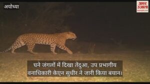 Read more about the article Leopard roaming in the dense forests of Cantt area, Forest Department issued alert