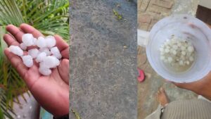 Read more about the article UP Weather News: Changed weather in Awadh region … Olo rains with rain; Farmers worried about crop loss concern