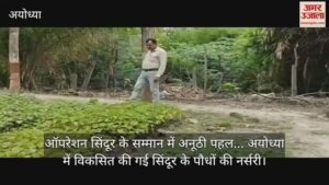 Read more about the article Unique initiative in honor of Operation Sindoor … Nursery of sindoor plants developed in Ayodhya