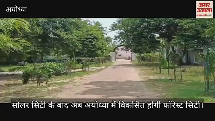 You are currently viewing After Solar City, now Forest City will develop in Ayodhya, CM Yogi will keep the foundation stone